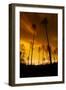 City on Fire-Dragan Jovancevic-Framed Photographic Print