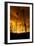 City on Fire-Dragan Jovancevic-Framed Photographic Print