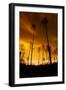 City on Fire-Dragan Jovancevic-Framed Photographic Print