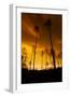 City on Fire-Dragan Jovancevic-Framed Photographic Print