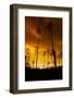 City on Fire-Dragan Jovancevic-Framed Photographic Print