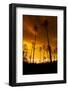 City on Fire-Dragan Jovancevic-Framed Photographic Print