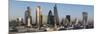 City Panorama from St. Pauls, London, England, United Kingdom-Charles Bowman-Mounted Photographic Print