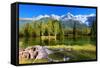 City Park in the Alpine Resort of Chamonix. Cold Lake Surrounded by Trees and Snow-Capped Mountains-kavram-Framed Stretched Canvas