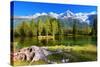 City Park in the Alpine Resort of Chamonix. Cold Lake Surrounded by Trees and Snow-Capped Mountains-kavram-Stretched Canvas
