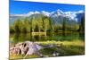 City Park in the Alpine Resort of Chamonix. Cold Lake Surrounded by Trees and Snow-Capped Mountains-kavram-Mounted Photographic Print