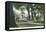 City Park View - Alameda, CA-Lantern Press-Framed Stretched Canvas
