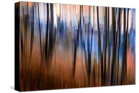 City Park-Ursula Abresch-Stretched Canvas