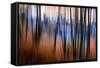 City Park-Ursula Abresch-Framed Stretched Canvas