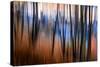 City Park-Ursula Abresch-Stretched Canvas