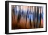 City Park-Ursula Abresch-Framed Photographic Print