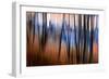 City Park-Ursula Abresch-Framed Photographic Print