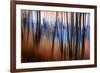 City Park-Ursula Abresch-Framed Photographic Print