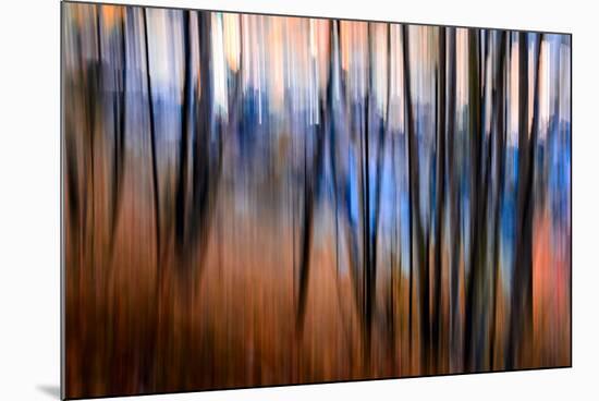 City Park-Ursula Abresch-Mounted Photographic Print