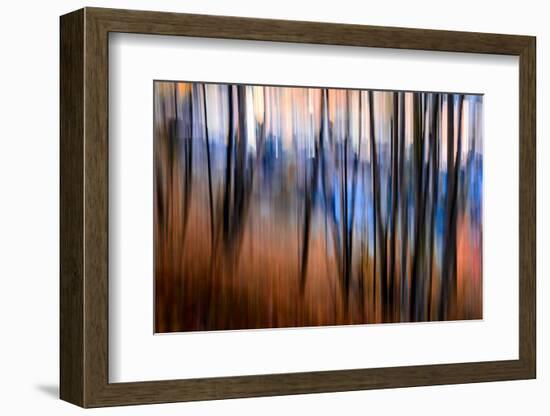 City Park-Ursula Abresch-Framed Photographic Print