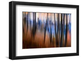 City Park-Ursula Abresch-Framed Photographic Print