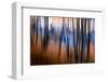 City Park-Ursula Abresch-Framed Photographic Print