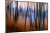 City Park-Ursula Abresch-Mounted Photographic Print