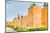 City Ramparts, Marrakech, Morocco-Nico Tondini-Mounted Photographic Print