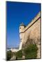 City Ramparts, Palma De Mallorca, Majorca, Balearic Islands, Spain, Europe-Nico Tondini-Mounted Photographic Print