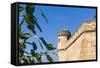 City ramparts, Palma de Mallorca, Majorca, Balearic Islands, Spain.-Nico Tondini-Framed Stretched Canvas