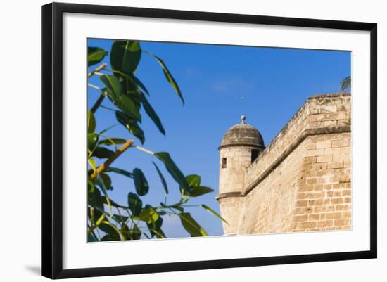 City ramparts, Palma de Mallorca, Majorca, Balearic Islands, Spain.-Nico Tondini-Framed Photographic Print