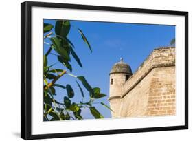 City ramparts, Palma de Mallorca, Majorca, Balearic Islands, Spain.-Nico Tondini-Framed Photographic Print