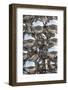 City reflection in chrome spheres, Bilbao, Biscay Province, Basque Country Region, Spain-null-Framed Photographic Print