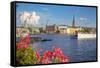 City Skyline and Flowers, Stockholm, Sweden, Scandinavia, Europe-Frank Fell-Framed Stretched Canvas