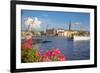 City Skyline and Flowers, Stockholm, Sweden, Scandinavia, Europe-Frank Fell-Framed Photographic Print