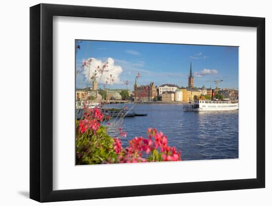 City Skyline and Flowers, Stockholm, Sweden, Scandinavia, Europe-Frank Fell-Framed Photographic Print