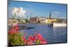 City Skyline and Flowers, Stockholm, Sweden, Scandinavia, Europe-Frank Fell-Mounted Photographic Print