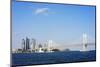 City Skyline and Gwangang Bridge, Busan, South Korea, Asia-Christian Kober-Mounted Photographic Print