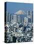 City Skyline and Mount Fuji, Tokyo, Honshu, Japan-Steve Vidler-Stretched Canvas