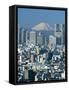 City Skyline and Mount Fuji, Tokyo, Honshu, Japan-Steve Vidler-Framed Stretched Canvas