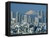 City Skyline and Mount Fuji, Tokyo, Honshu, Japan-Steve Vidler-Framed Stretched Canvas