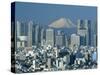 City Skyline and Mount Fuji, Tokyo, Honshu, Japan-Steve Vidler-Stretched Canvas