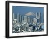 City Skyline and Mount Fuji, Tokyo, Honshu, Japan-Steve Vidler-Framed Photographic Print