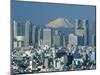 City Skyline and Mount Fuji, Tokyo, Honshu, Japan-Steve Vidler-Mounted Photographic Print