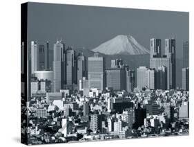 City Skyline and Mount Fuji, Tokyo, Honshu, Japan-Steve Vidler-Stretched Canvas