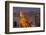 City Skyline and Rashid Bin Saeed Al Maktoum Street at Dusk-Frank Fell-Framed Photographic Print