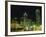 City Skyline at Night, Dallas, Texas, United States of America, North America-Rennie Christopher-Framed Photographic Print