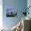 City Skyline, Auckalnd, North Island, New Zealand, Pacific-Richard Cummins-Photographic Print displayed on a wall