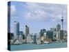 City Skyline, Auckland, North Island, New Zealand, Pacific-Neale Clarke-Stretched Canvas