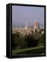 City Skyline from Boboli Gardens, Florence, Tuscany, Italy-Roy Rainford-Framed Stretched Canvas