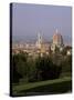 City Skyline from Boboli Gardens, Florence, Tuscany, Italy-Roy Rainford-Stretched Canvas