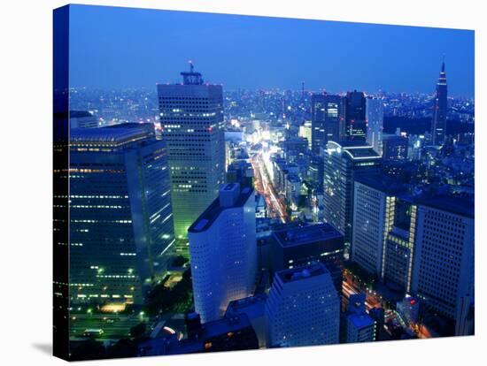City Skyline from Sky Bar, Park Hyatt Tokyo, Tokyo, Japan-Greg Elms-Stretched Canvas