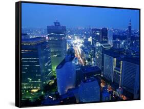 City Skyline from Sky Bar, Park Hyatt Tokyo, Tokyo, Japan-Greg Elms-Framed Stretched Canvas