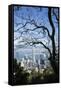 City Skyline from Victoria Peak, Hong Kong, China-Paul Souders-Framed Stretched Canvas