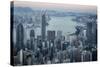 City Skyline from Victoria Peak, Hong Kong, China-Paul Souders-Stretched Canvas